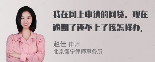 我在网上申请的网贷。现在逾期了还不上了该怎样办，