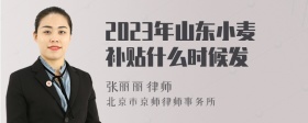 2023年山东小麦补贴什么时候发