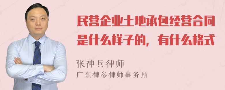 民营企业土地承包经营合同是什么样子的，有什么格式