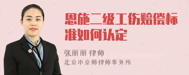 恩施二级工伤赔偿标准如何认定