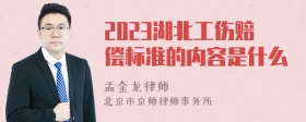 2023湖北工伤赔偿标准的内容是什么