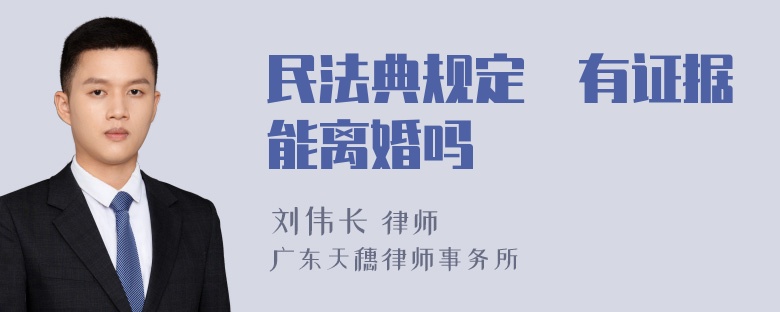 民法典规定沒有证据能离婚吗