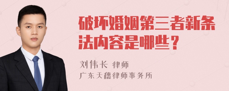 破坏婚姻第三者新条法内容是哪些？
