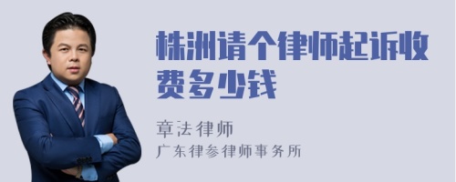 株洲请个律师起诉收费多少钱