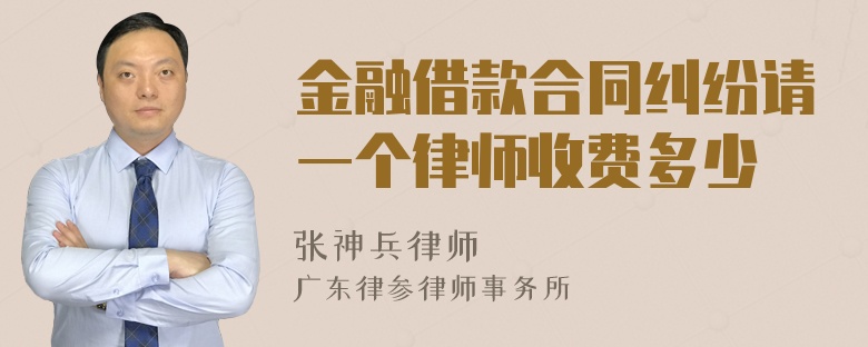 金融借款合同纠纷请一个律师收费多少