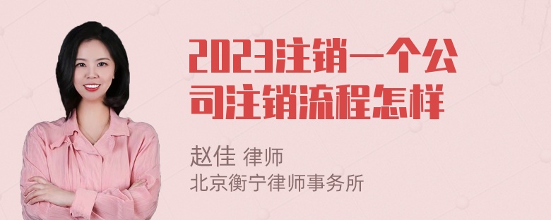 2023注销一个公司注销流程怎样