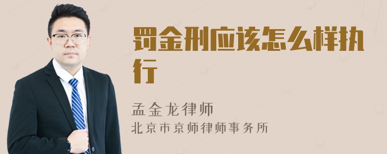 罚金刑应该怎么样执行