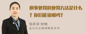 刑事处罚的处罚方法是什么？你们能说明吗？