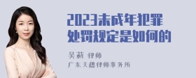 2023未成年犯罪处罚规定是如何的