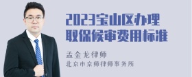 2023宝山区办理取保候审费用标准