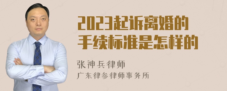 2023起诉离婚的手续标准是怎样的