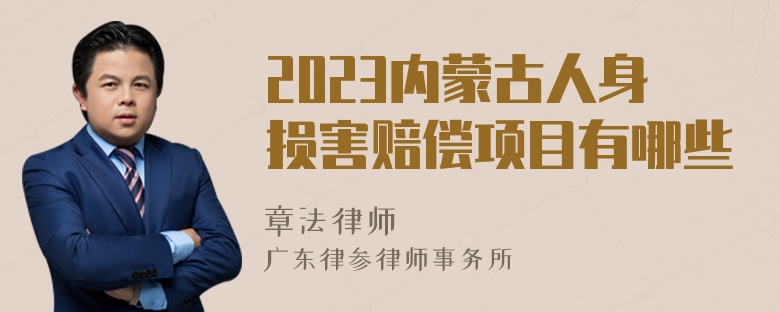 2023内蒙古人身损害赔偿项目有哪些