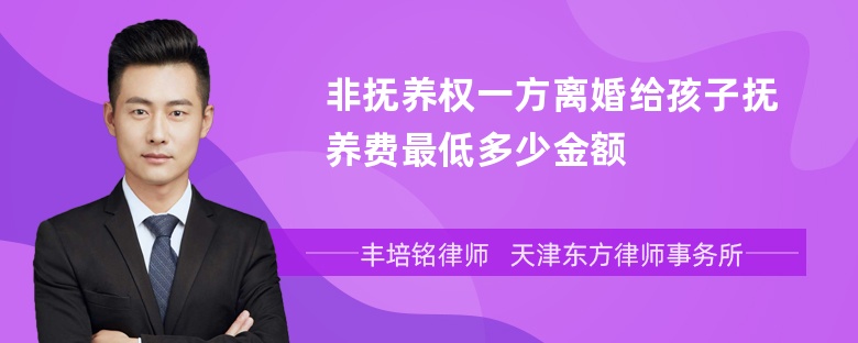 非抚养权一方离婚给孩子抚养费最低多少金额