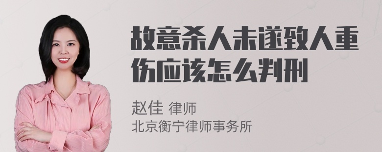 故意杀人未遂致人重伤应该怎么判刑