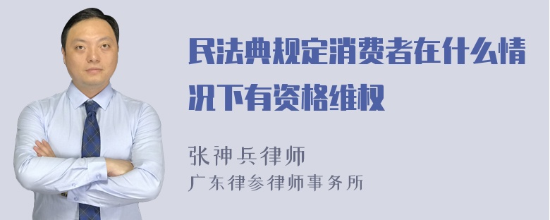 民法典规定消费者在什么情况下有资格维权