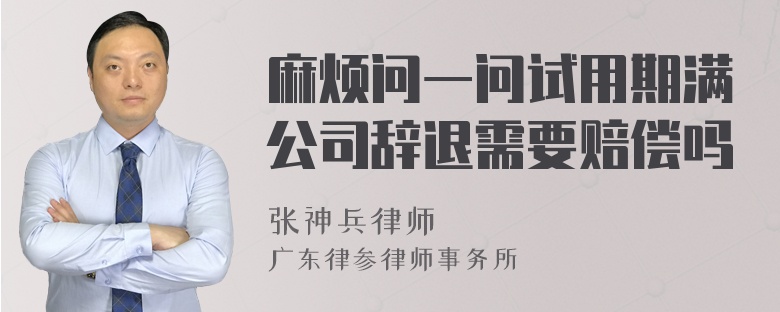 麻烦问一问试用期满公司辞退需要赔偿吗