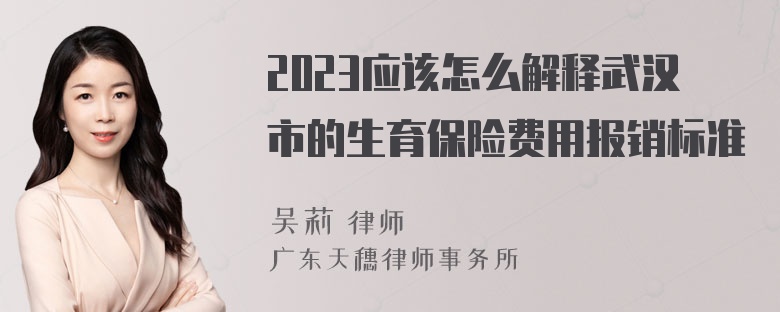 2023应该怎么解释武汉市的生育保险费用报销标准