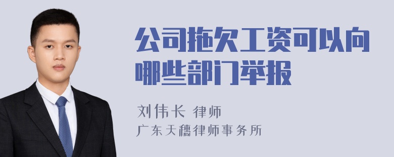 公司拖欠工资可以向哪些部门举报