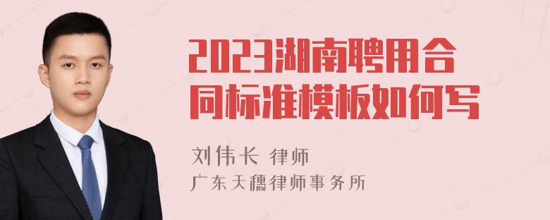 2023湖南聘用合同标准模板如何写