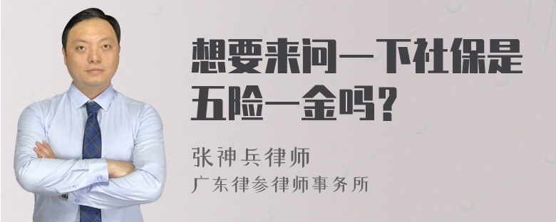 想要来问一下社保是五险一金吗？