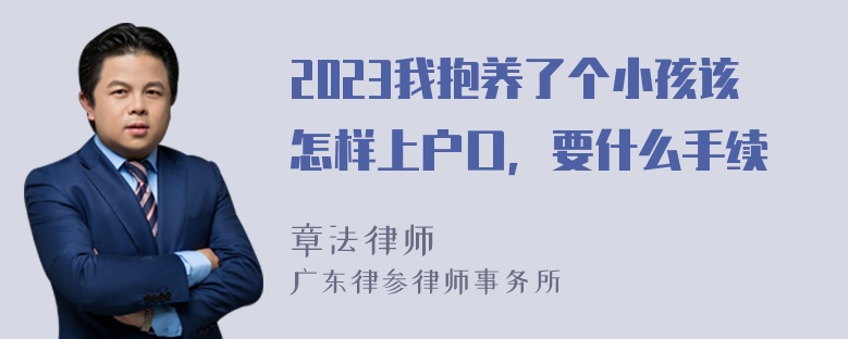 2023我抱养了个小孩该怎样上户口，要什么手续