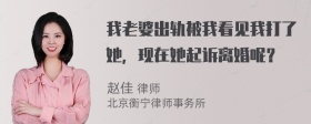 我老婆出轨被我看见我打了她，现在她起诉离婚呢？