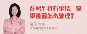 在吗？我有事情，肇事逃逸怎么处理？