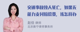 交通事故致人死亡，如果无能力支付赔偿费，该怎样办