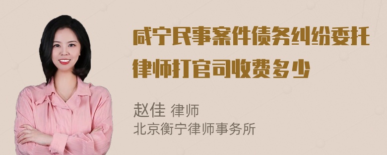 咸宁民事案件债务纠纷委托律师打官司收费多少