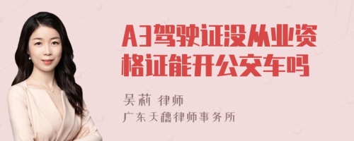 A3驾驶证没从业资格证能开公交车吗