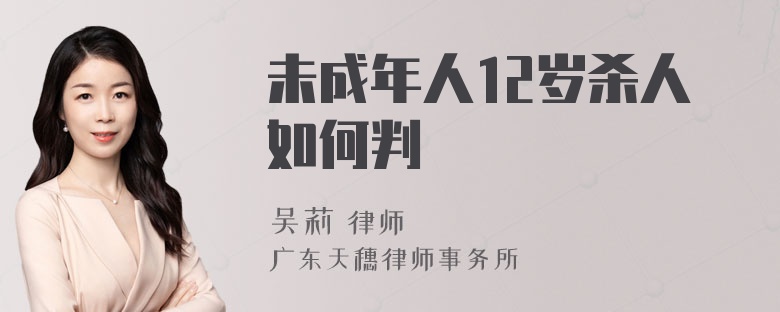 未成年人12岁杀人如何判