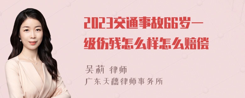 2023交通事故66岁一级伤残怎么样怎么赔偿