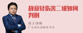 故意轻伤害二级如何判刑