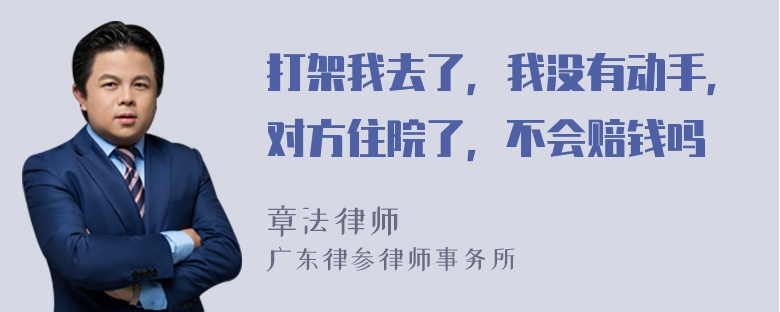 打架我去了，我没有动手，对方住院了，不会赔钱吗