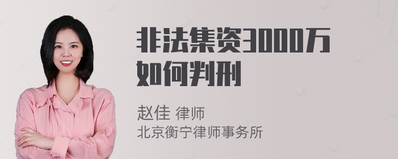 非法集资3000万如何判刑