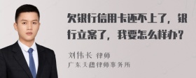 欠银行信用卡还不上了，银行立案了，我要怎么样办？