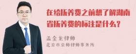 在给抚养费之前想了解湖南省抚养费的标注是什么？