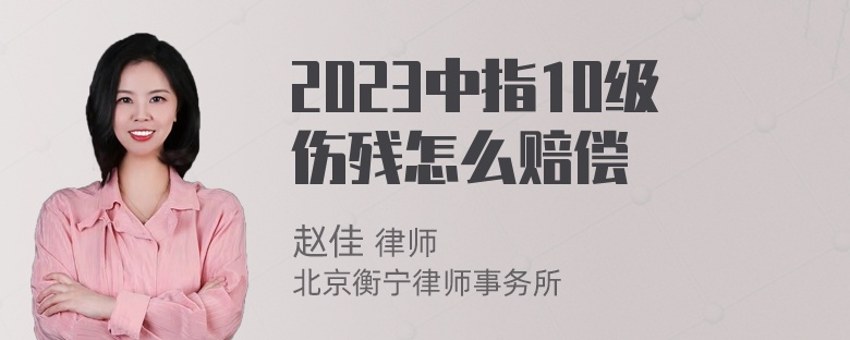 2023中指10级伤残怎么赔偿