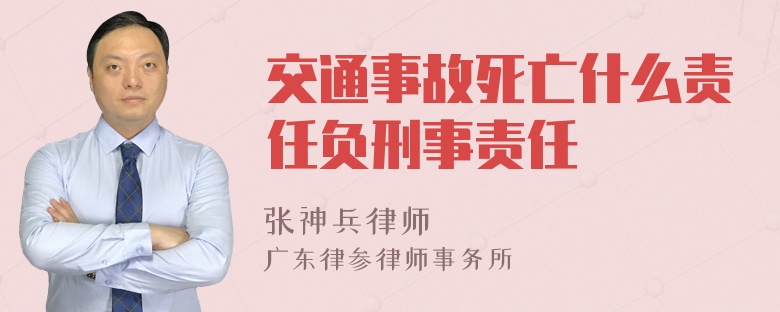 交通事故死亡什么责任负刑事责任