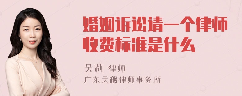 婚姻诉讼请一个律师收费标准是什么