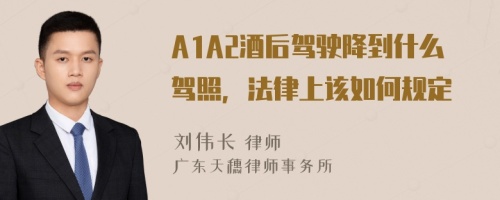 A1A2酒后驾驶降到什么驾照，法律上该如何规定