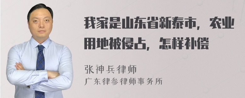 我家是山东省新泰市，农业用地被侵占，怎样补偿