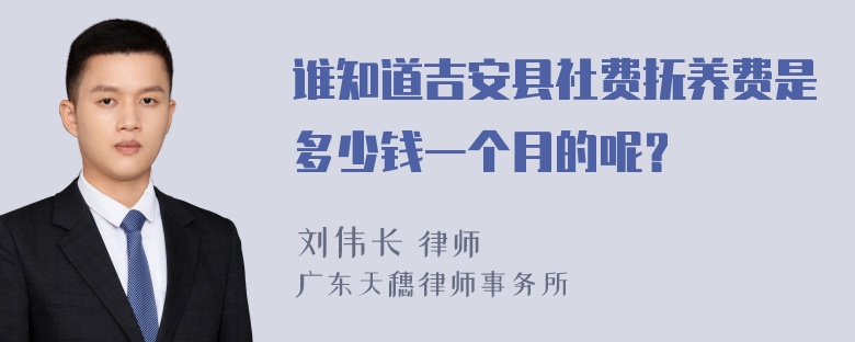 谁知道吉安县社费抚养费是多少钱一个月的呢？