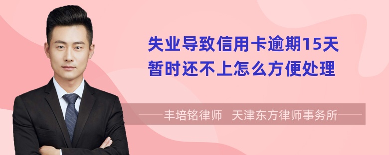 失业导致信用卡逾期15天暂时还不上怎么方便处理