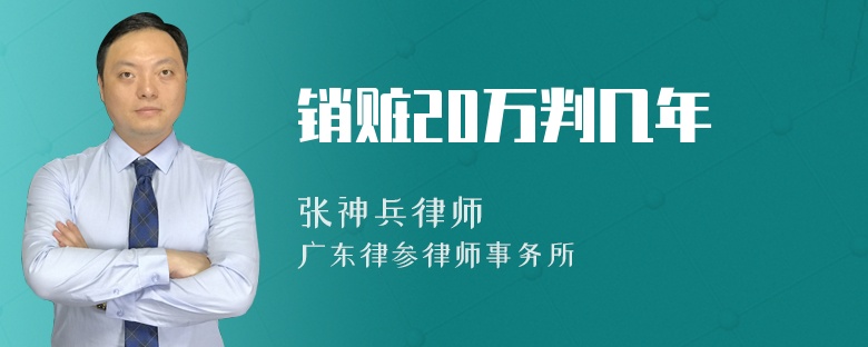 销赃20万判几年