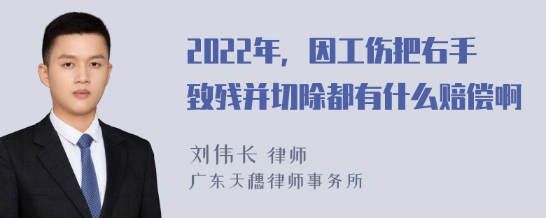 2022年，因工伤把右手致残并切除都有什么赔偿啊