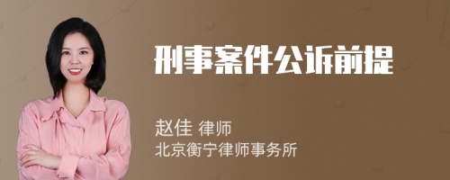 刑事案件公诉前提