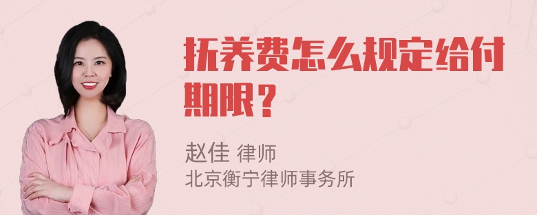 抚养费怎么规定给付期限？