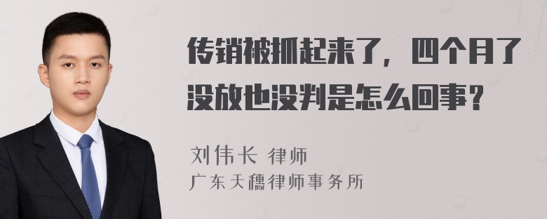 传销被抓起来了，四个月了没放也没判是怎么回事？