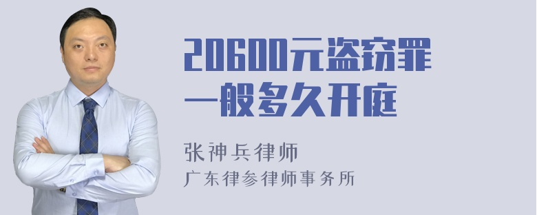 20600元盗窃罪一般多久开庭